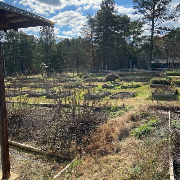 Happy Birthday Poshmark!!! - Picture 8 of 9